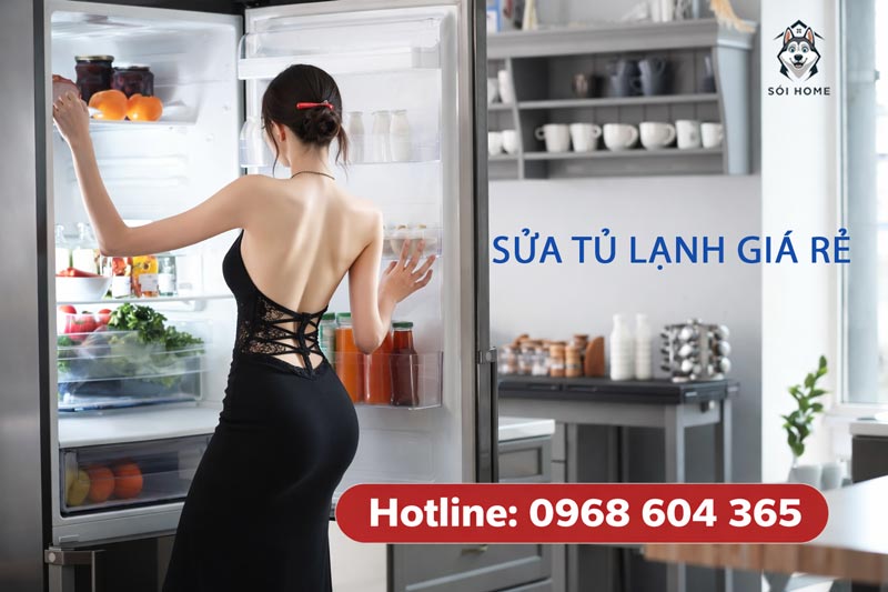 sua tu lanh khong vao dien 04